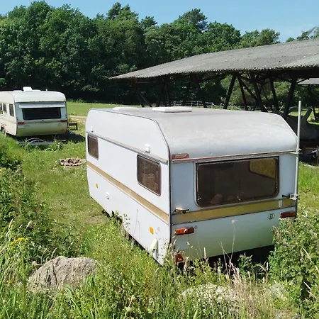 Heller Wohnwagen Auf Tierschutz Landhof Inmitten Der * Selmsdorf