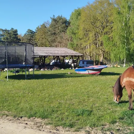 Heller Wohnwagen Auf Tierschutz Landhof Inmitten Der Selmsdorf