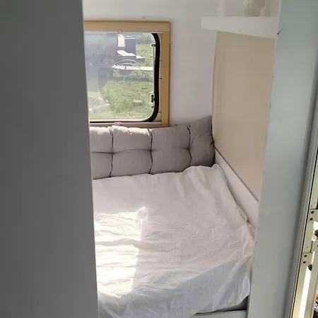 אתר קמפינג Heller Wohnwagen Auf Tierschutz Landhof Inmitten Der Selmsdorf