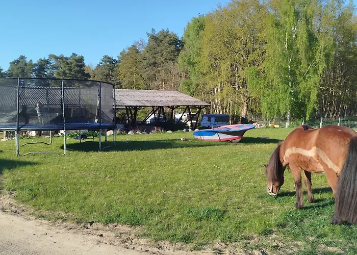Heller Wohnwagen Auf Tierschutz Landhof Inmitten Der Selmsdorf